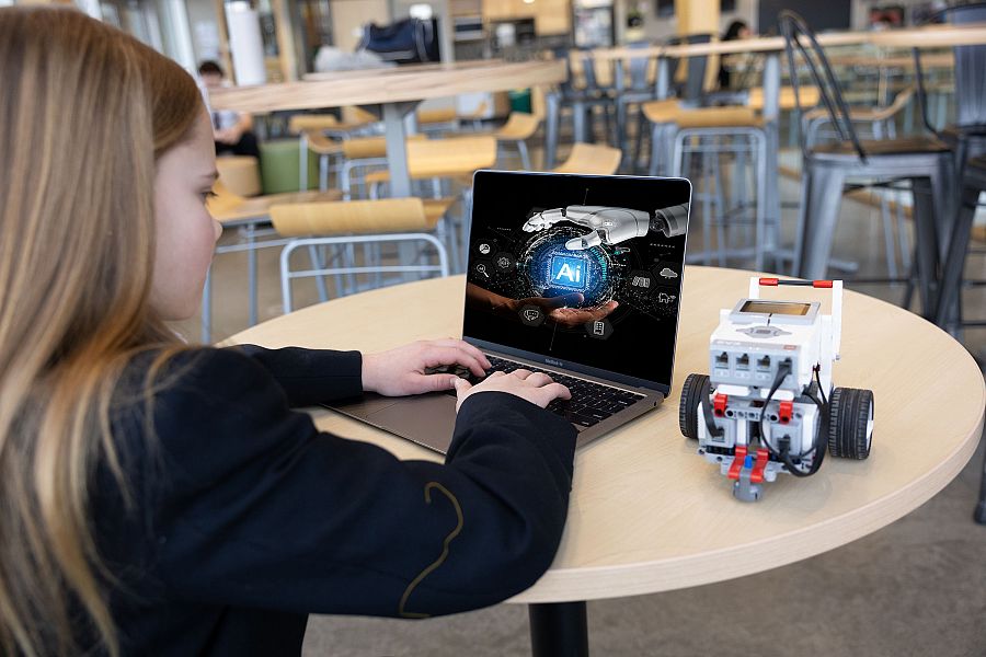 How Will We Respond to the AI Revolution How Will We Respond to the AI Revolution